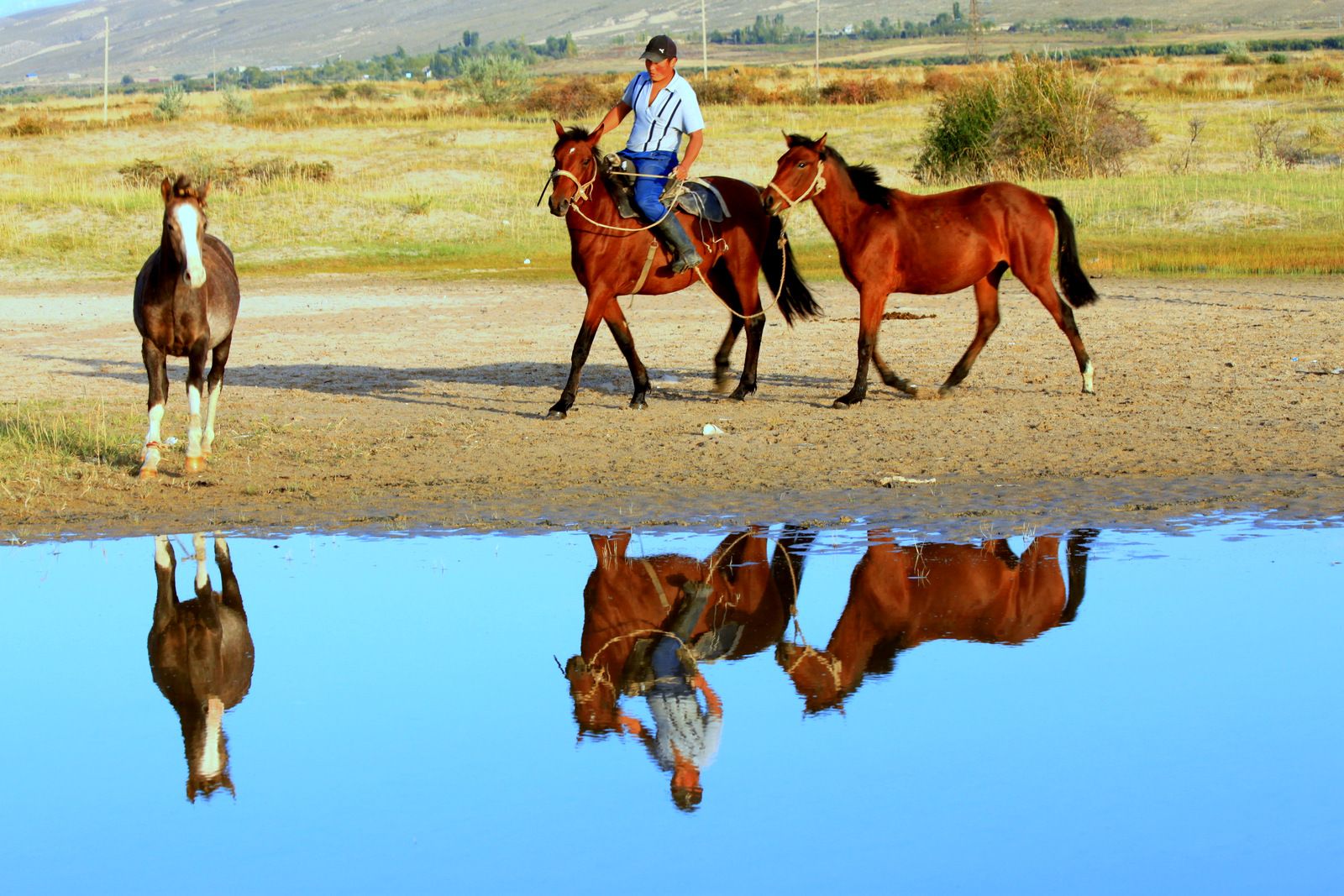 Reflection. Photo by Mary O'Connor