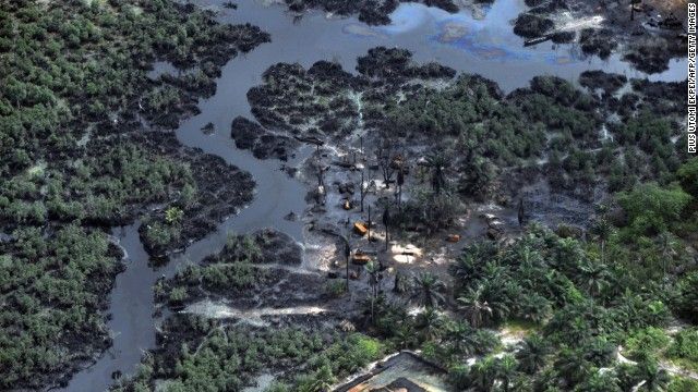 Green vegetation destroyed as a result of oil spills in Niger Delta on March 22, 2013.