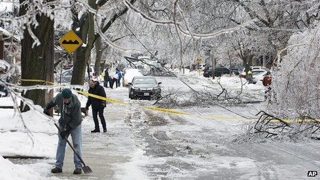 Tree damage during the storm has been described as extensive