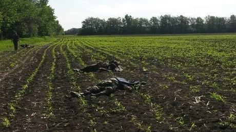 The bodies of Ukrainian soldiers killed in the May 22 attack by pro-Russian insurgents lie in a field at the scene.
