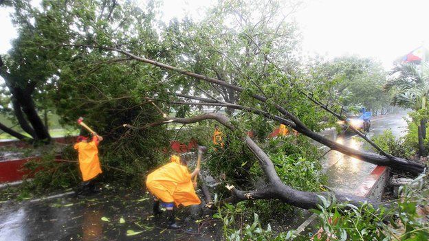 Government workers remove a fallen tree along a main road after strong winds brought by Typhoon Rammasun battered the capital, metro Manila on 16 July, 2014 Typhoon Rammasun battered the Philippines, bringing down trees and knocking out power