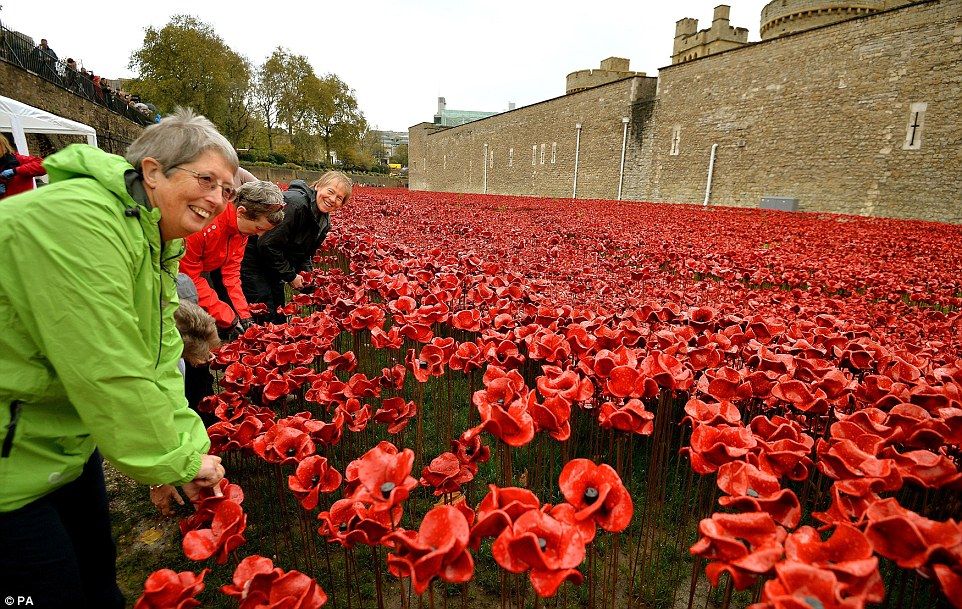 It's over: An army of volunteers has begun removing the field of ceramic Remembrance poppies 
