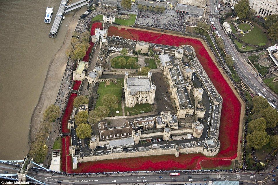 View from above: The thousands of poppies filling the moat made for a stark image  Read more: http://www.dailymail.co.uk/news/article-2831388/It-s-Hundreds-volunteers-start-removing-ceramic-poppies-Tower-London-moat-lifetime-installation-caught-nation-s-imagination.html#ixzz3IrGfrT4I  Follow us: @MailOnline on Twitter | DailyMail on Facebook