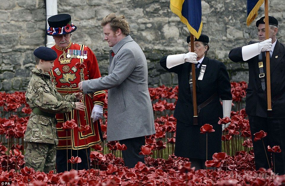 Artist: Mr Cummins, seen handing the final flower to Harry, said the project was 'the biggest thing I have ever done'