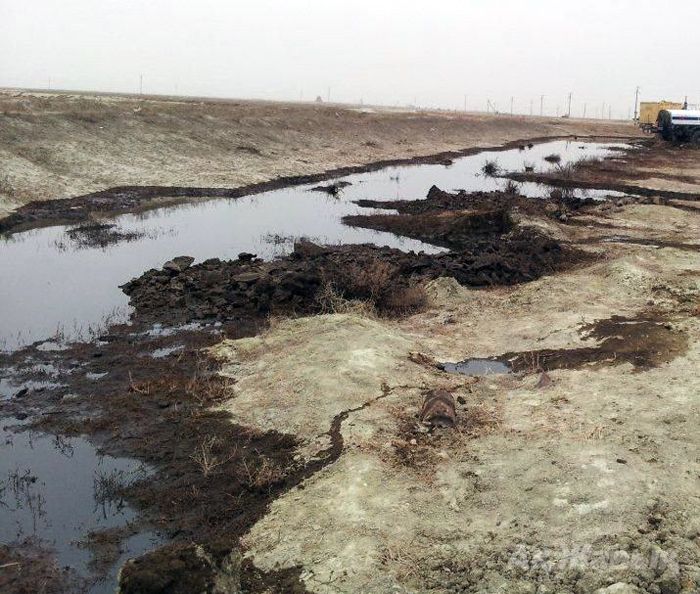 Нардепу выдали грязное дырявое постельное белье в люкс-вагоне поезда Укрзализныци (фото)