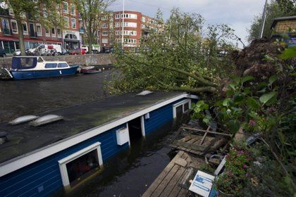 Последствия шторма в Амстердаме. Фото: Evert Elzinga / AFP