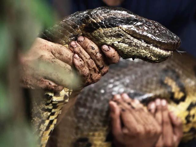 Фото: Global Look Press