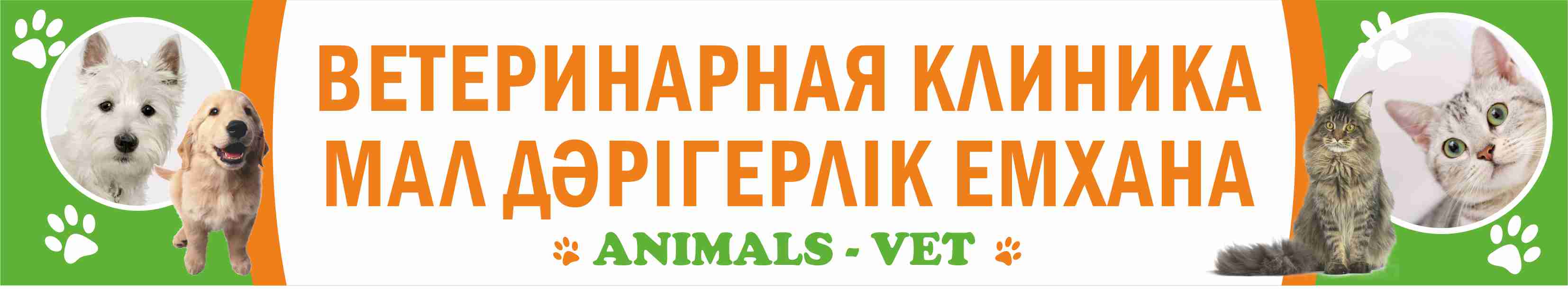 Animals Vet