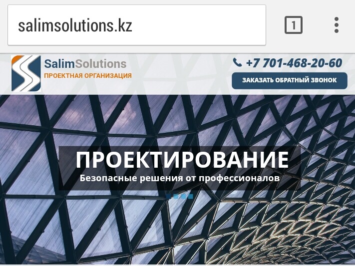 Проектная компания Salim Solutions