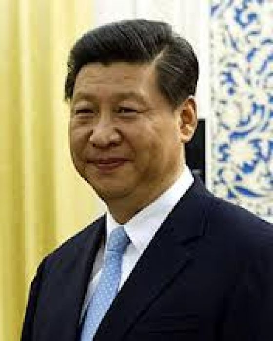 Xi Jinping named president of China