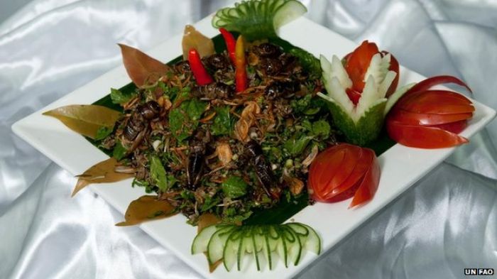 UN urges people to eat insects to fight world hunger