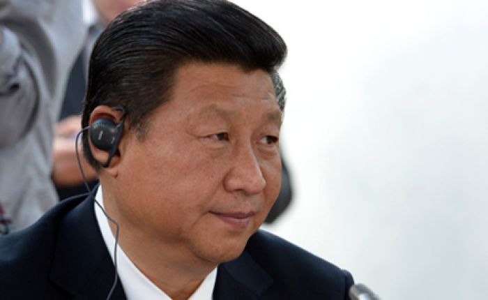 China does not interfere with home affairs of C Asian countries - Xi Jinping