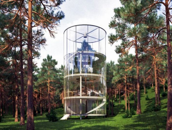 Gorgeous Glass House In the Mountains of Kazakhstan Encircles an Entire Tree