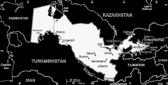 Uzbekistan: chaos reigns on border with Kazakhstan