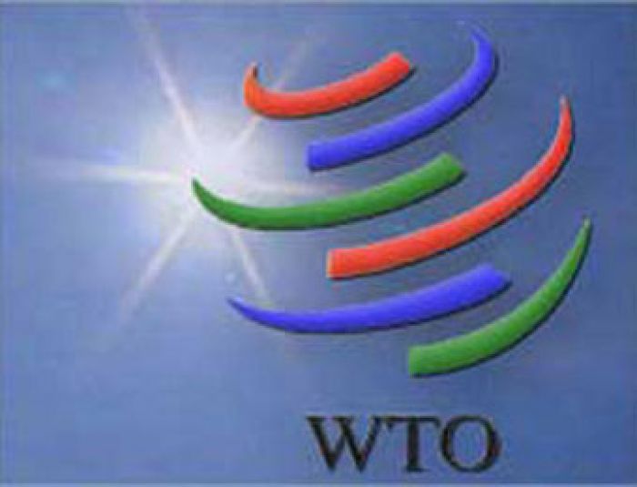 Kazakhstan makes changes to over 50 laws to join WTO
