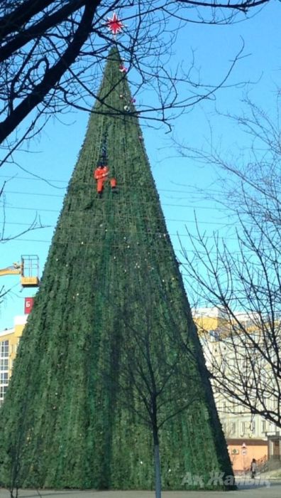 Man Arrested After Climbing Atyrau’s New Year Tree (+update)