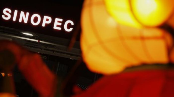 Probe 'blames Sinopec, city for deadly China pipeline blast'