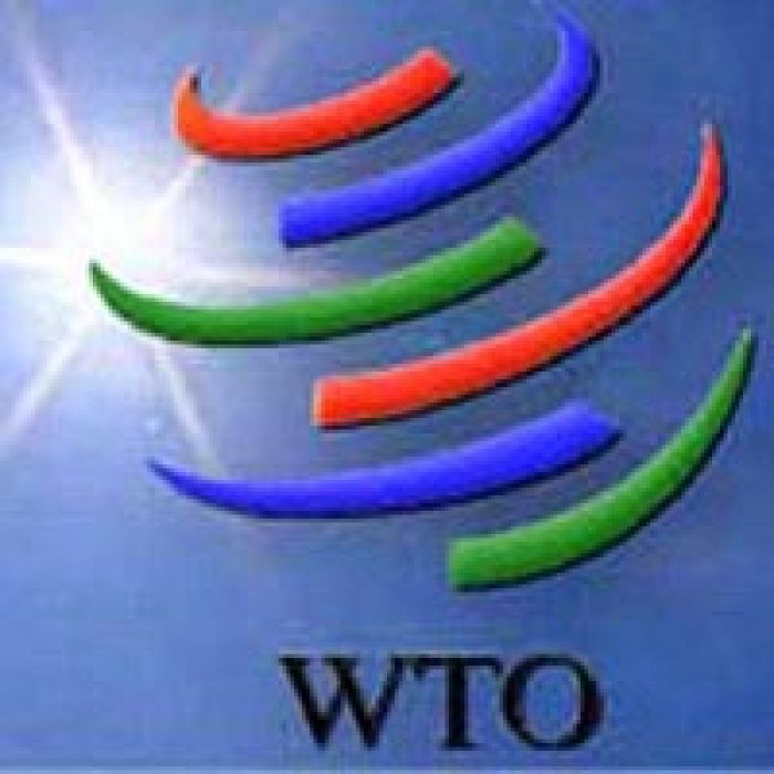 Kazakhstan may join WTO in 6 months