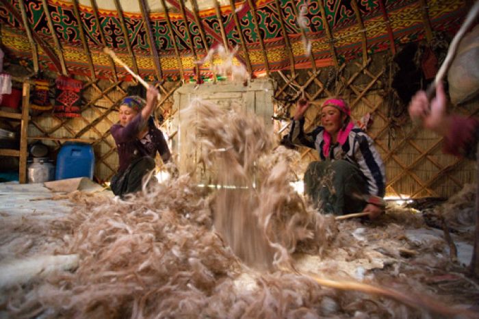 Benetton, Zara and H&M to use Kazakhstan's wool to make their clothing