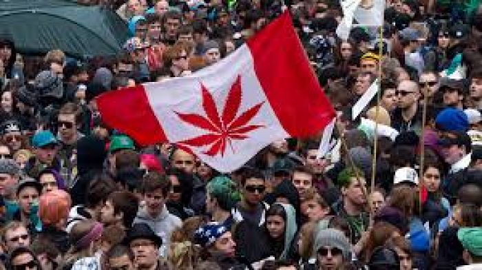 Canadians rally to legalize marijuana