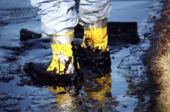 50,000 gallons of oil spills onto street in Los Angeles after pipe ruptures