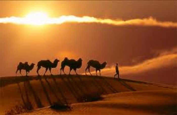 Eight sites along Silk Road in Kazakhstan given World Heritage status