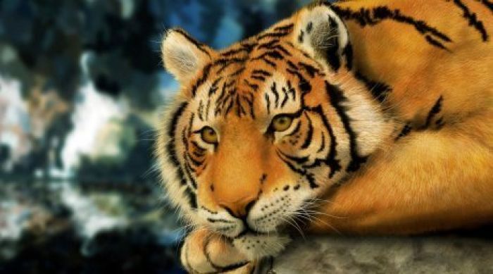 Revival of extinct Caspian tigers in Kazakhstan