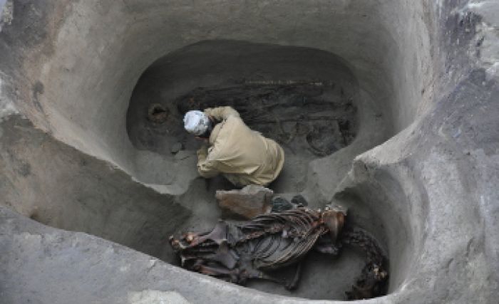 Kazakh archeologists unearthed ancient warrior-musician in Altai