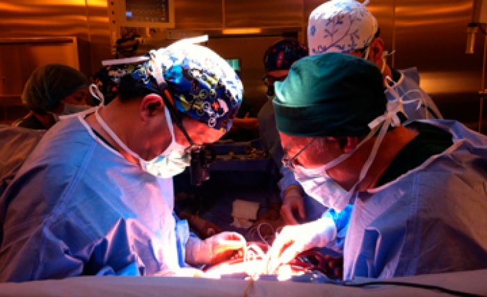 Kazakhstan to host ever-first organ donation and grafting conference
