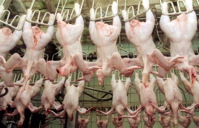 Russia turns back banned US poultry re-exported from Kazakhstan