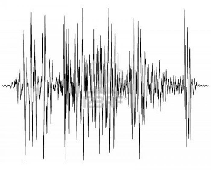 4.9 Earthquake hits Taraz