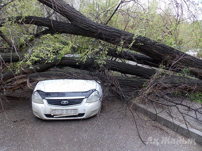 ​After heavy rain: tree falls on car
