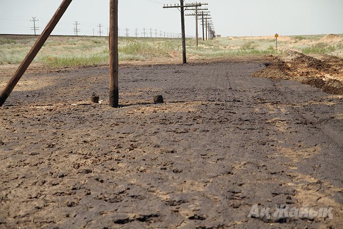 Crude oil spill stretching over a hectare discovered in steppe