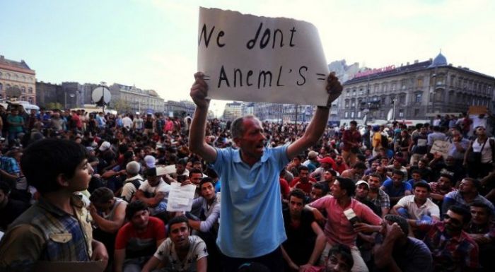 Migrants storm re-opened Budapest train station