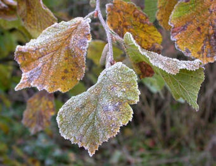 ​Most regions of Kazakhstan to be gripped by cold front