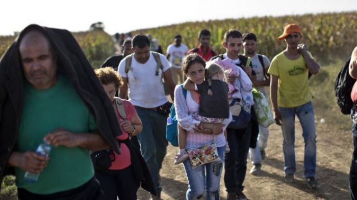 Croatia 'will move migrants on' - PM Milanovic