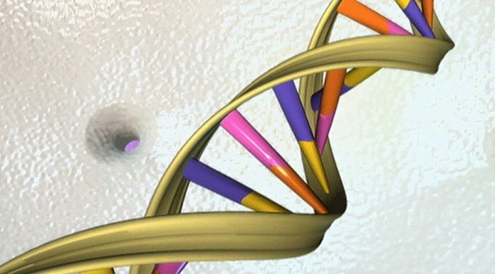 ​Scientists apply for license to modify human embryos