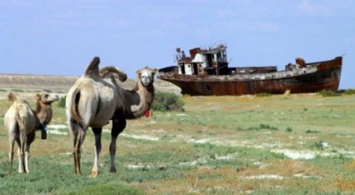 Irtysh River to be used for salvation of dying Aral Sea