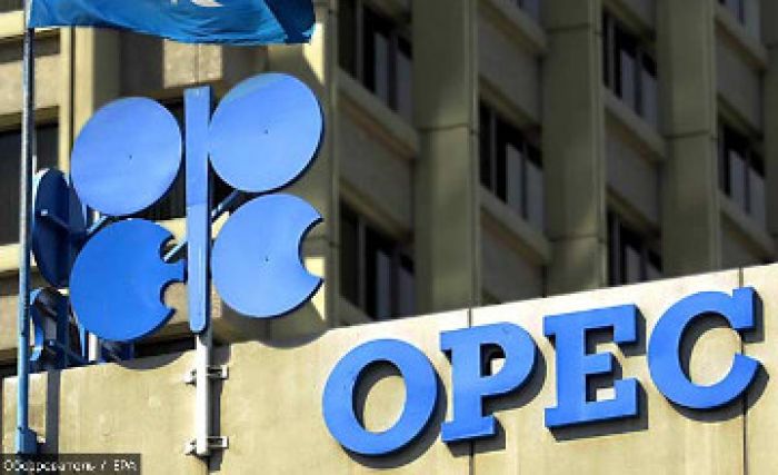 ​Kazakhstan proposed to establish alternative to OPEC