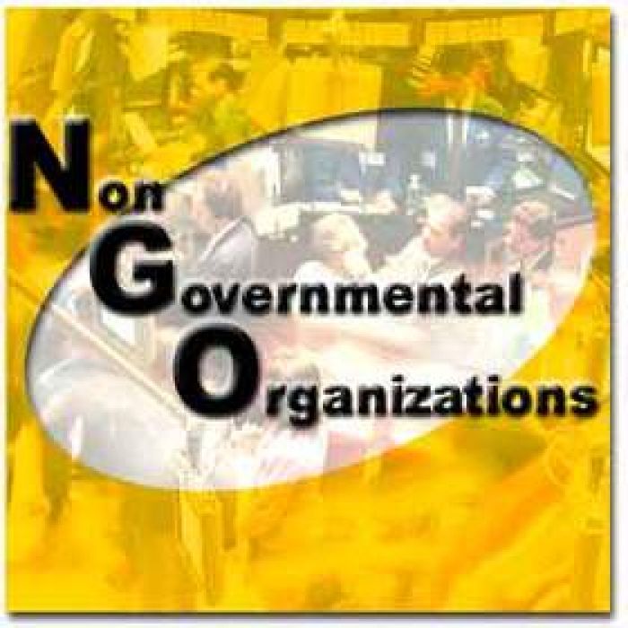 ​Kazakhstan to introduce grant funding for NGOs