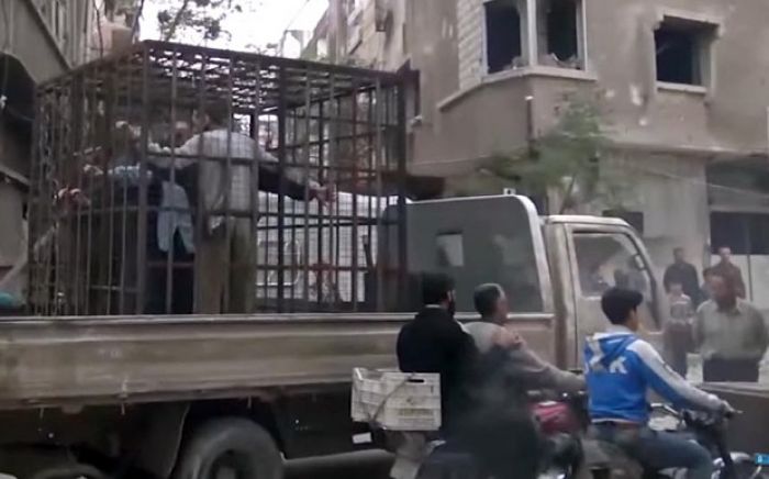 Russia in Syria: Assad loyalists paraded in cages through Damascus by rebels trying to stop air strikes