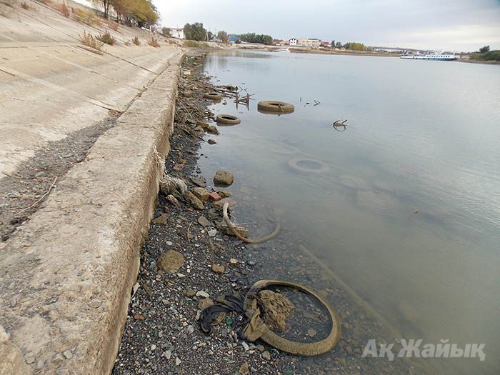 Atyrau resident pays attention of the authorities to a sad state of the Ural River (+Video)