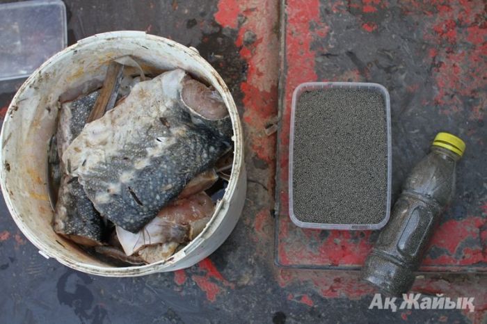 ​2 tons of sturgeon and 25 kg of black caviar destroyed in furnace
