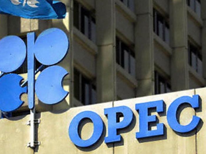OPEC waiting for US oil companies’ bankruptcy