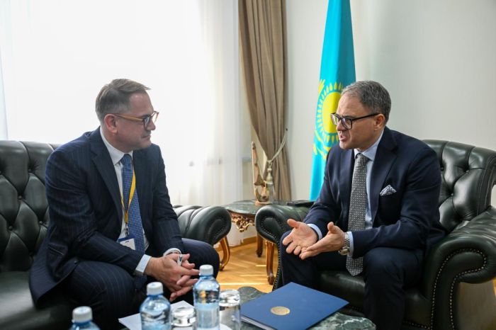 Current Issues of Cooperation with France Discussed at the Kazakh Foreign Ministry