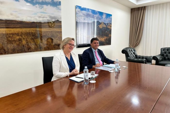 Kazakhstan and the UK Discuss Comprehensive Strengthening of Cooperation