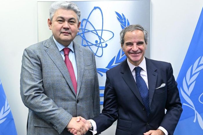 Kazakhstan and the IAEA Reaffirm Commitment to Further Strengthening Multifaceted Cooperation