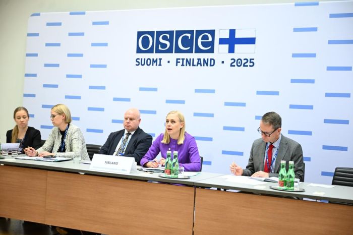 Meeting of Foreign Ministers of Central Asia and Northern Europe Countries Held in Vienna