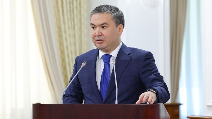 Kazakhstan Plans to Establish a Project Office for the Robotization of Economic Sectors