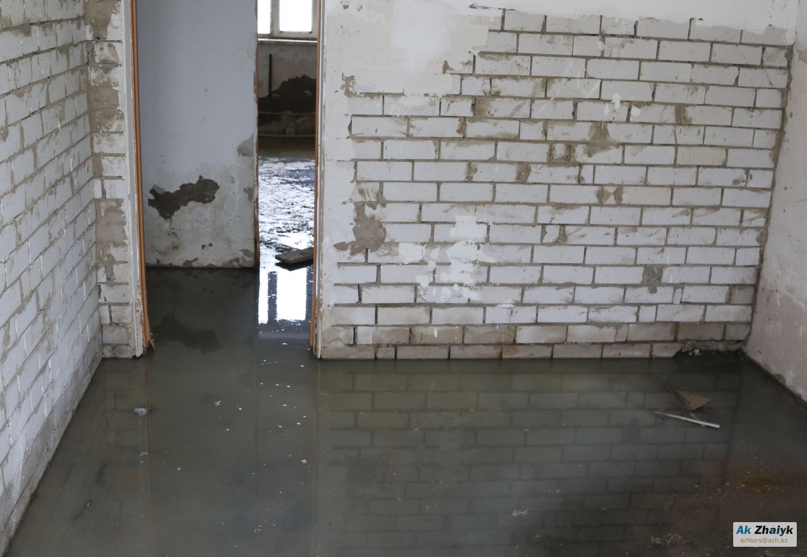 Біздің әншілердің қайсысы труси кимейді?